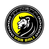 LOGO USB